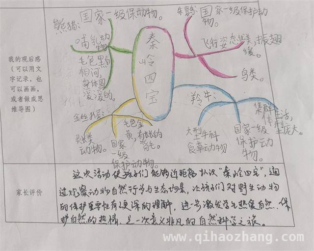 春日与“秦岭四宝”之约：西安小学生开启生态探索之旅，西安小学生“秦岭四宝科普游”：沉浸式感受生命奇迹