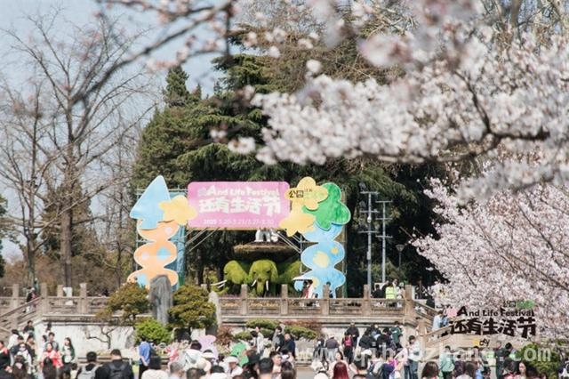 2025“还有生活节”：以公园之名，绘就都市生活新画卷 春日玄武湖：“还有生活节”开启都市美学生活盛宴