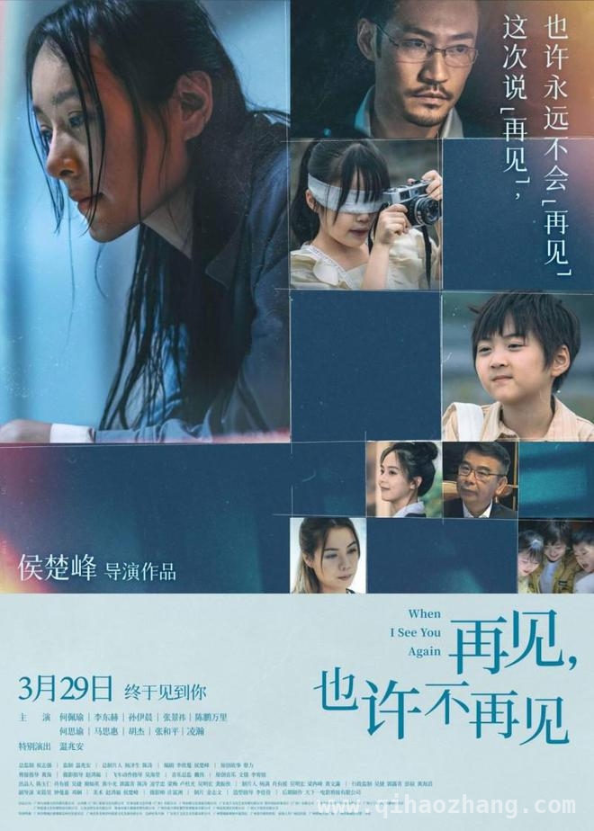 再见，也许不再见：以乡村振兴为背景，书写人性的光辉篇章