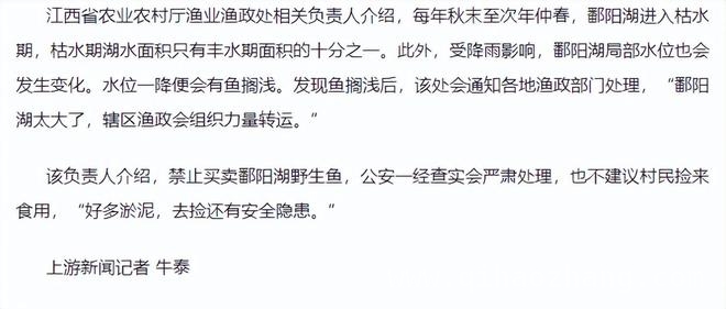 鄱阳湖枯水鱼搁浅，捡鱼易涉险，买卖要严惩！