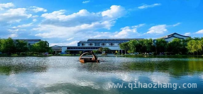 揭秘泰山科技学院：从国内领先到国际接轨的教育之路，泰山科技学院：以多元模式培养人才，助力区域创新发展