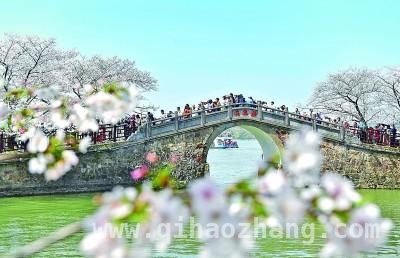 花开中国：“赏花经济”开启乡村振兴新篇 春日花事：一朵花如何撬动乡村发展大格局