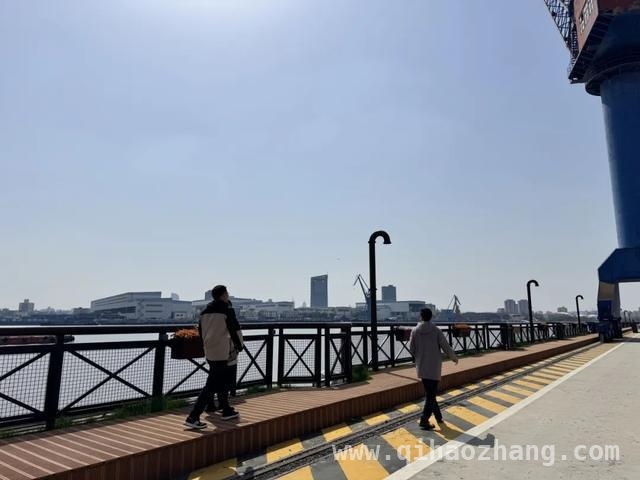 2025复兴岛全球设计大赛：参赛者实地踏勘，畅想未来城市蓝图，复兴岛设计大赛现场：生态、建筑与公共空间创意碰撞
