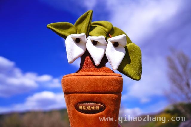 国家植物园文创盛宴：自然、艺术与科普的完美融合，探索国家植物园：毛绒文创与多元市集的自然之约