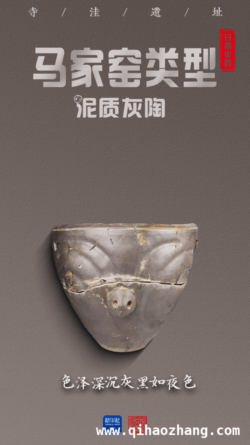 考古大发现！寺洼遗址勾勒5000年前社会图景 寺洼遗址考古新发现，揭开马家窑文化神秘面纱