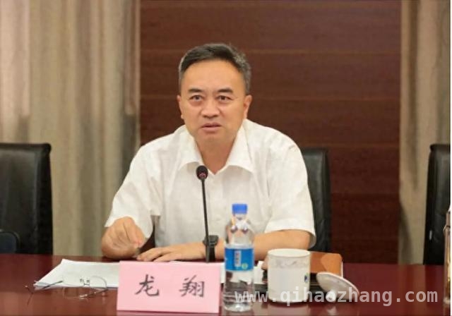 龙翔：从资深纪检人到落马官员的惊心转变，62岁资深纪检干部龙翔任上落马，背后隐情几何？