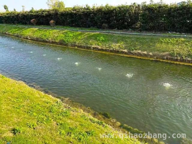 2024闵行“健康幸福河湖”揭晓，华漕6条河道闪耀登场