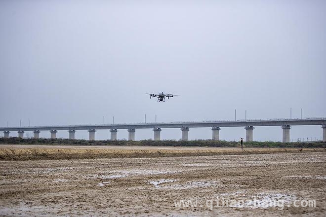 春耕新景象：江西共青城无人机助力早稻播种 无人机助力共青城市早稻播种，农业现代化加速前行