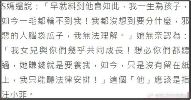 大S逝世两月：家人疗愈，遗产纷争与汪小菲的新选择，清明后大S家人近况：小S欲复出，遗产风波不断