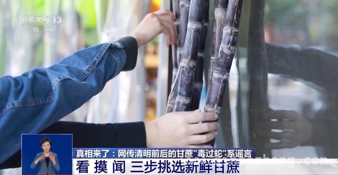 4. 警惕！春季甘蔗霉变危机，如何选到安全甘蔗？