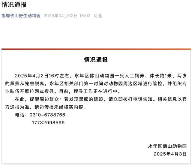 两岁黑熊逃离邯郸佛山动物园，各方紧急应对