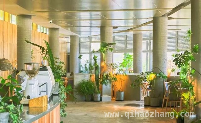 5. 解锁桃浦公园，开启春日浪漫之旅，4. 普陀桃浦公园：春日踏青赏花的理想之境