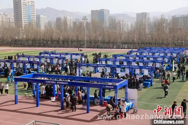 2025青海职校生招聘会：多举措搭建就业快车道 青海职校生招聘会：海量岗位与精准服务齐上阵