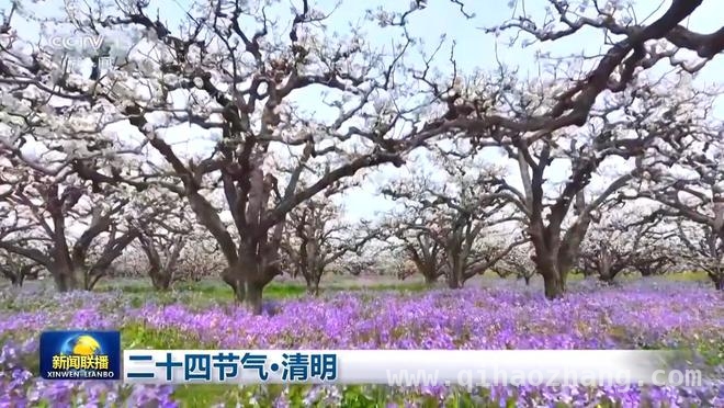 清明：踏青祭祖，共赴春日之约 清明时分，邂逅自然之美与春耕盛景