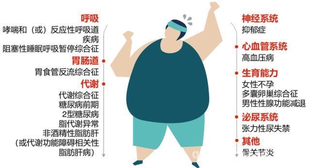 体重管理刻不容缓，肥胖数据敲响健康警钟！，肥胖危机来袭，你该如何应对？