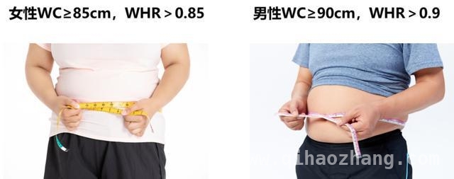 体重管理刻不容缓，肥胖数据敲响健康警钟！，肥胖危机来袭，你该如何应对？