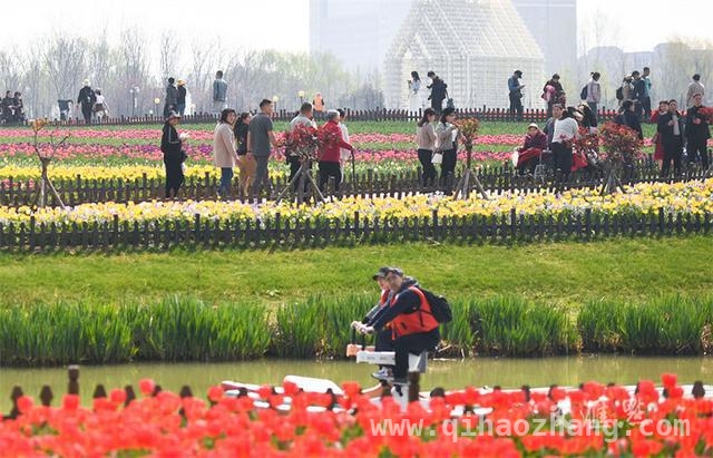 清明假期，江苏各地旅游花式玩法大揭秘 清明江苏旅游热，踏青打卡乡野游乐趣多